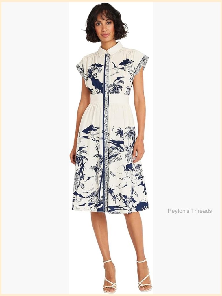 Collared Neck Button Down Fit & Flare Dress With Pockets